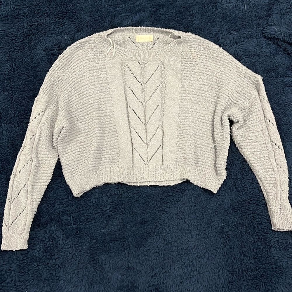Altard State Crop Sweater